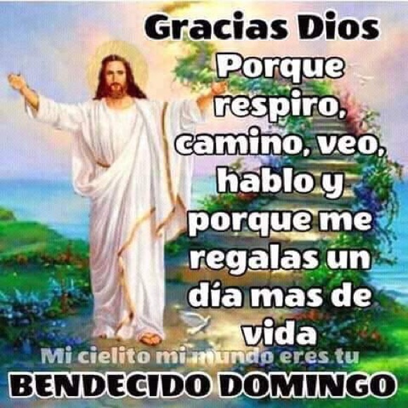 Meet your Posher, Carmen - Picture 1 of 1